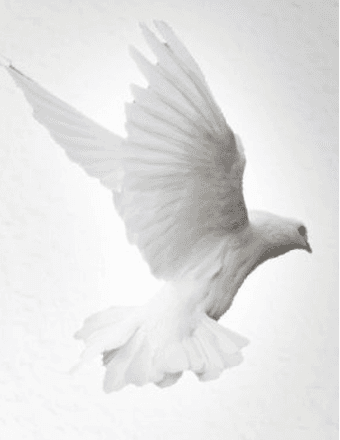 Loureen K. Chaffee Obituary